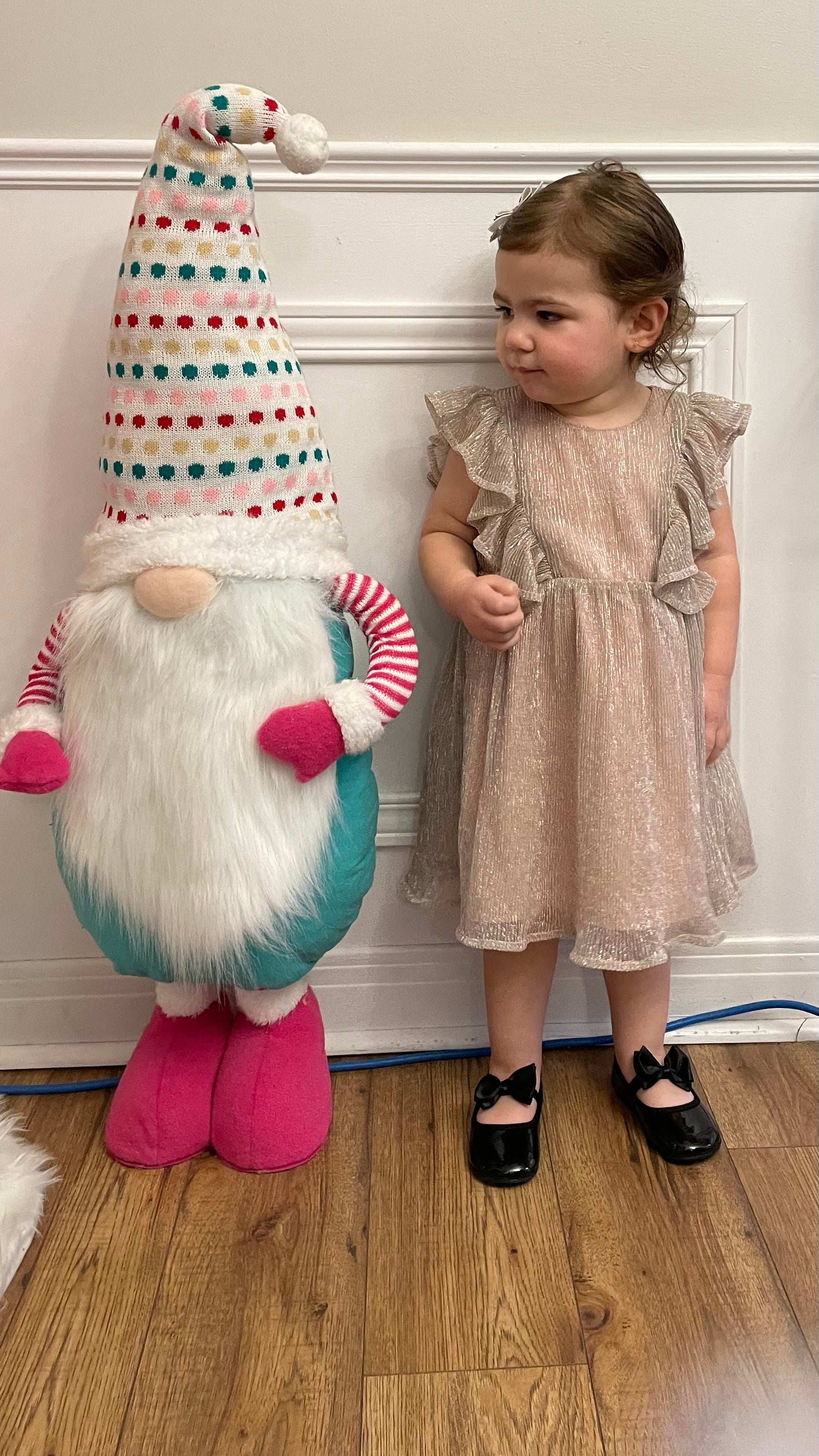 Meredith Mini Dress