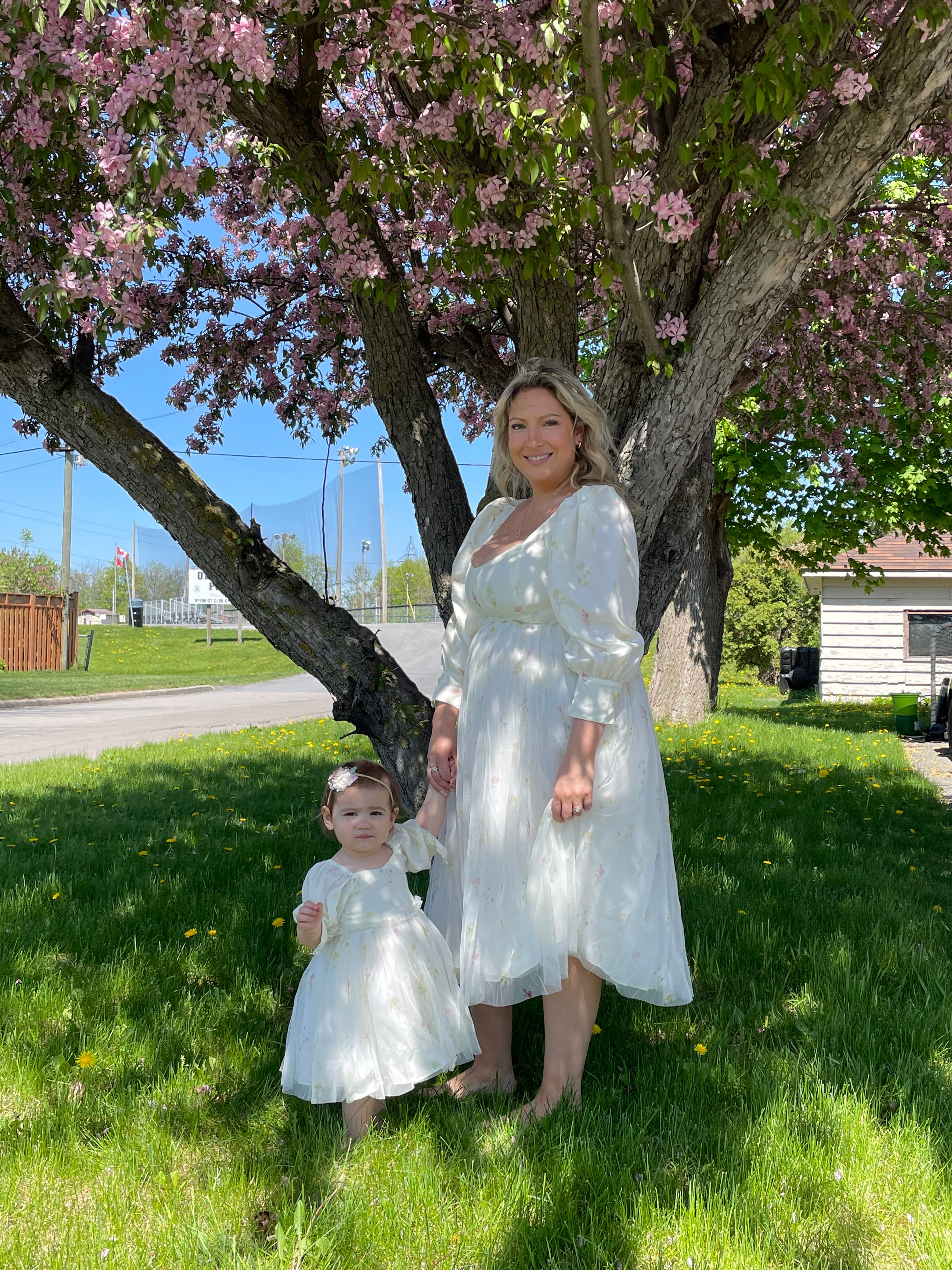 Isabel Dress