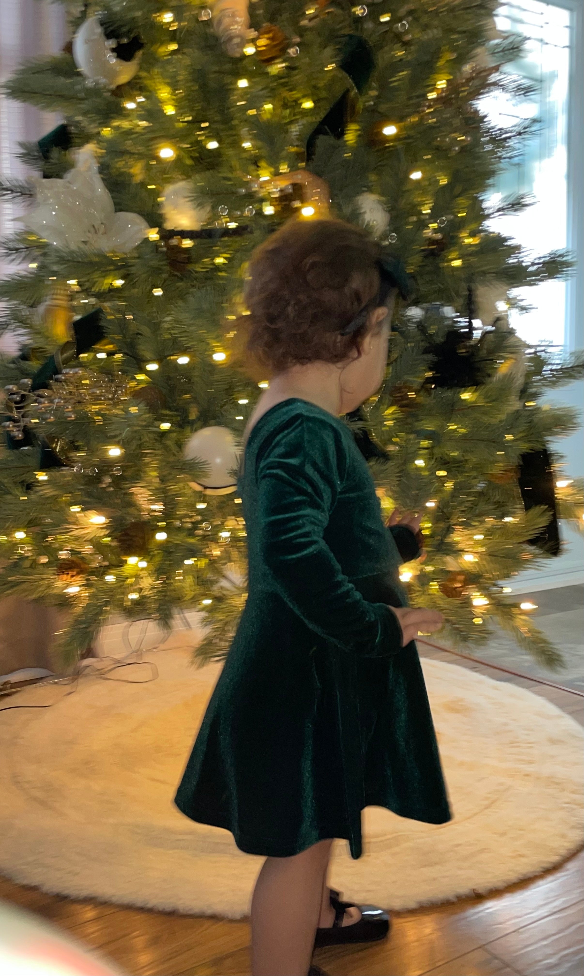 Tiana Mini Dress